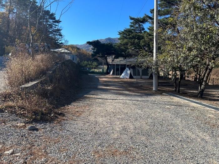 울산 울주군 상북면 덕현리 산157-3 임야 사진 2