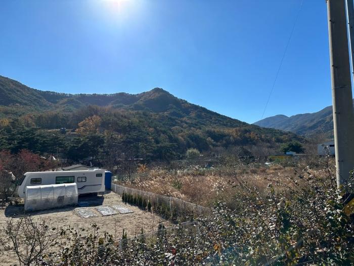울산 울주군 상북면 덕현리 산157-3 임야 사진 3