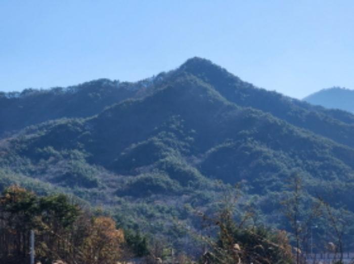 울산 울주군 상북면 덕현리 산157-3 임야 사진 5