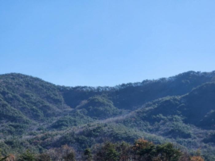 울산 울주군 상북면 덕현리 산157-3 임야 사진 6