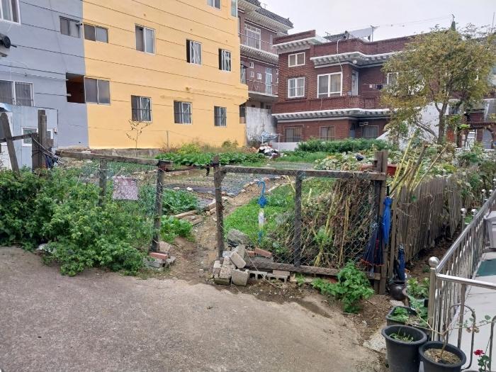 울산 동구 화정동 858-21 대지 사진 2