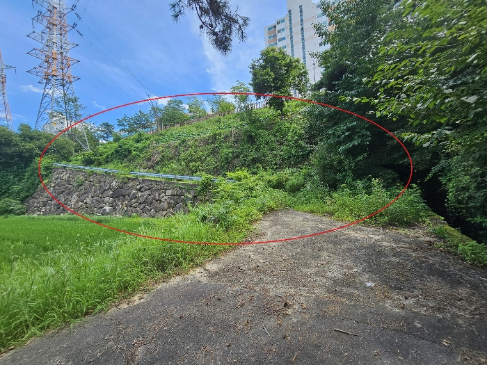 울산 중구 성안동 574-2 답 사진 3